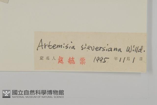 大耔蒿藏品圖，第3張