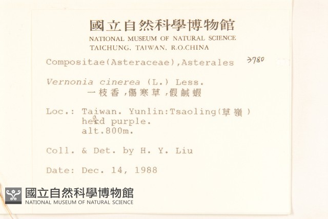 一枝香藏品圖，第2張