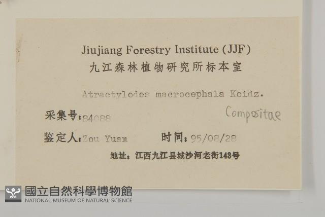 白朮藏品圖，第3張