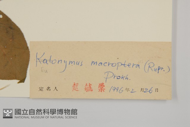 黃瓢子藏品圖，第3張