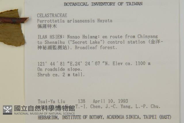 佩羅特木藏品圖，第2張