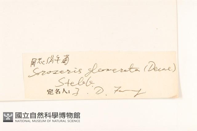 登錄號:S022703藏品圖，第3張