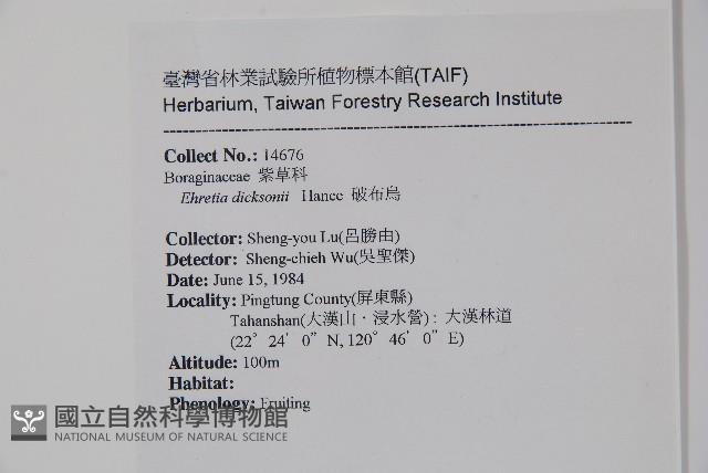 破布烏藏品圖，第2張