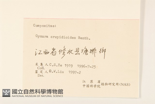 野茼蒿藏品圖，第3張