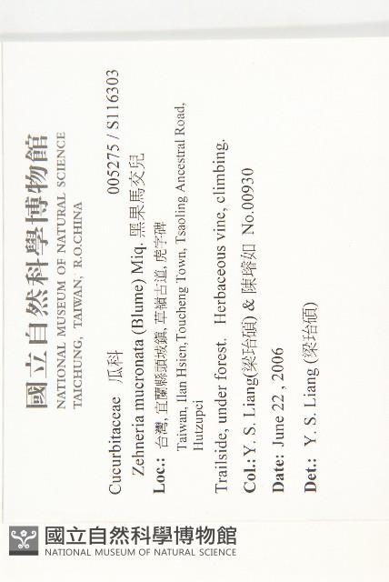 黑果馬交兒藏品圖，第2張