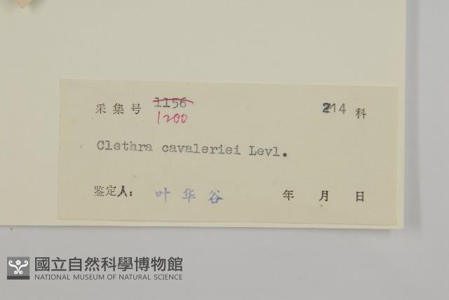 江南山柳藏品圖，第3張