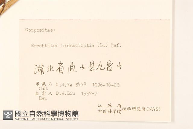 饑荒草藏品圖，第3張