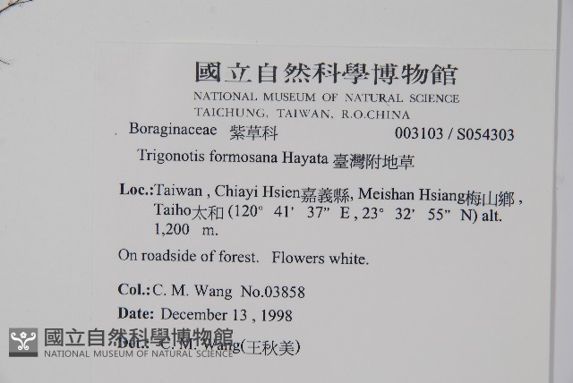 臺灣附地草藏品圖，第2張