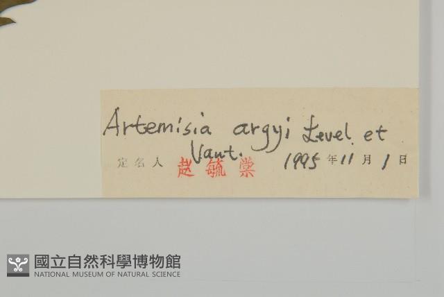 Accession Number:S027303 Collection Image, Figure 3, Total 3 Figures