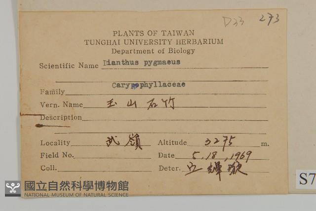 玉山石竹藏品圖，第2張