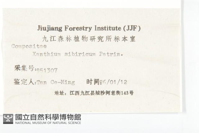 蒼耳藏品圖，第3張