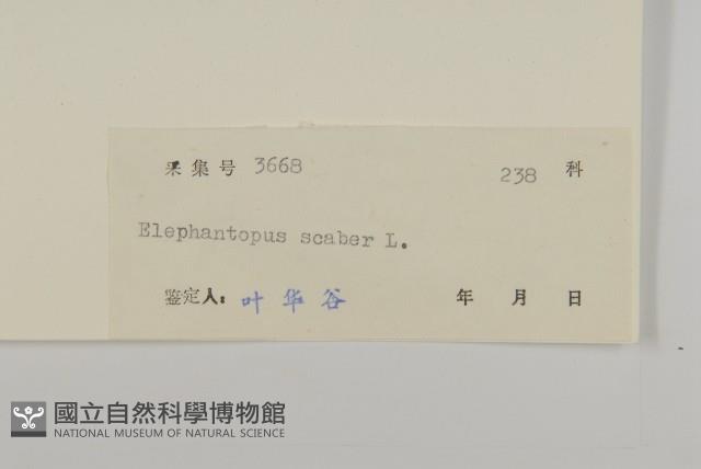 燈豎朽藏品圖，第3張