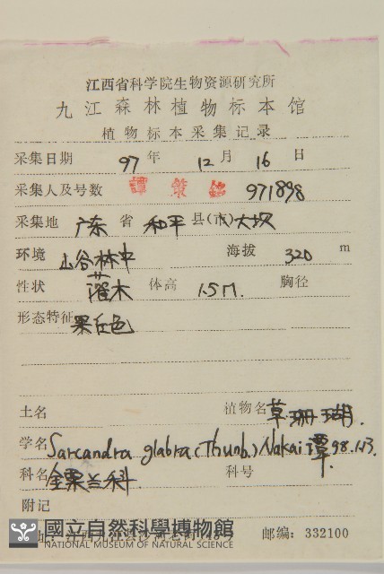 草珊瑚、紅果金粟蘭藏品圖，第2張