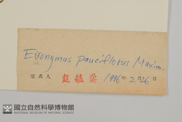 Accession Number:S027503 Collection Image, Figure 3, Total 3 Figures