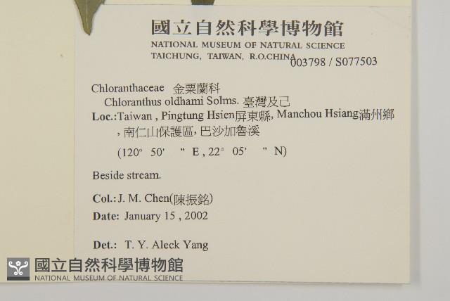 臺灣及己藏品圖，第2張