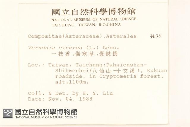 一枝香藏品圖，第2張