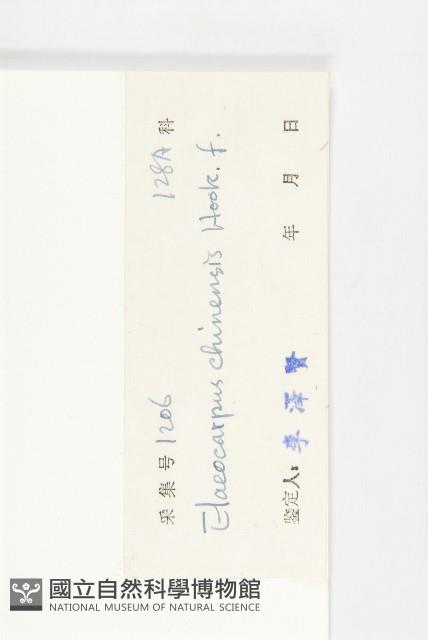 華杜英藏品圖，第3張