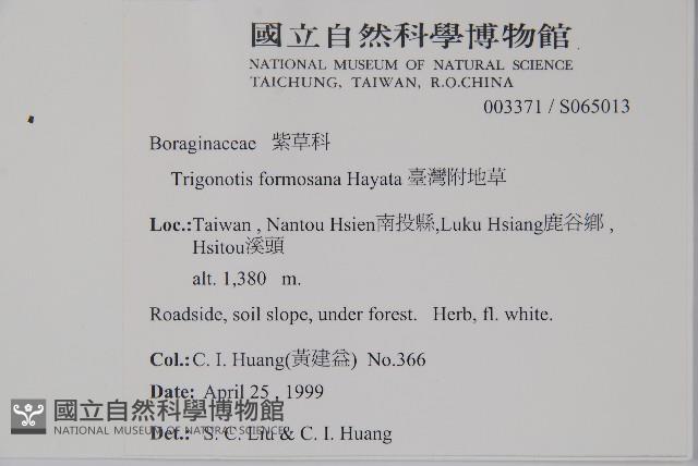 臺灣附地草藏品圖，第2張