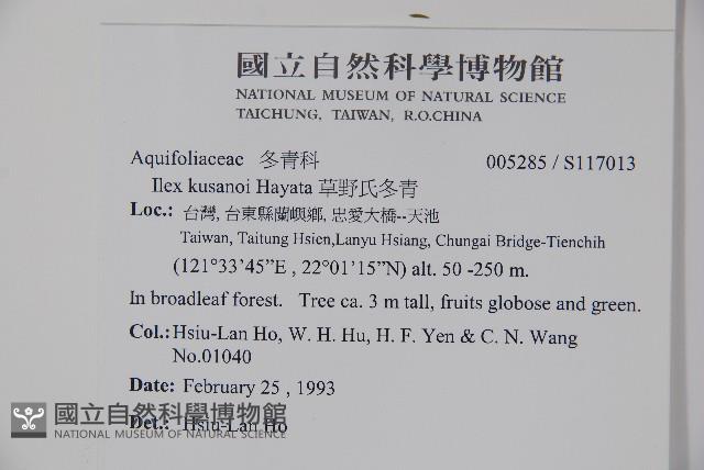 草野氏冬青藏品圖，第2張