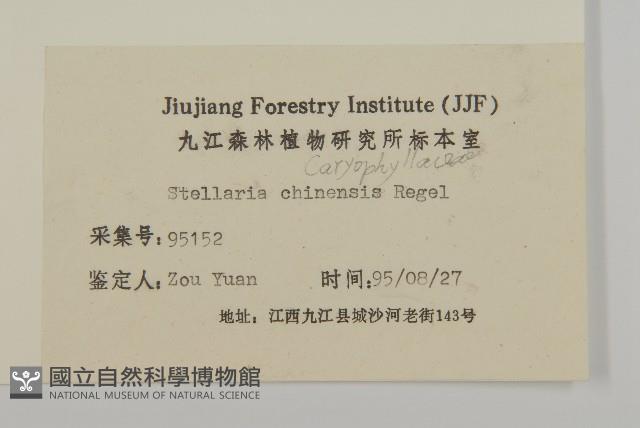 中國繁縷藏品圖，第3張