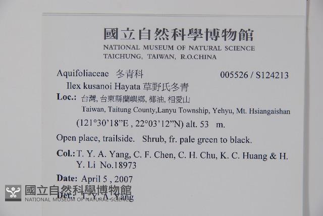 草野氏冬青藏品圖，第2張