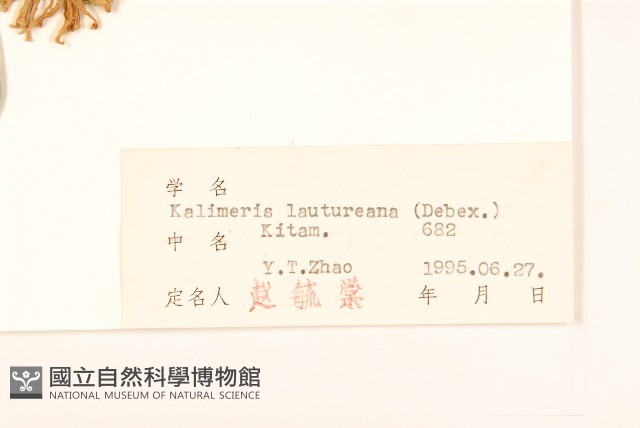 山馬蘭藏品圖，第3張