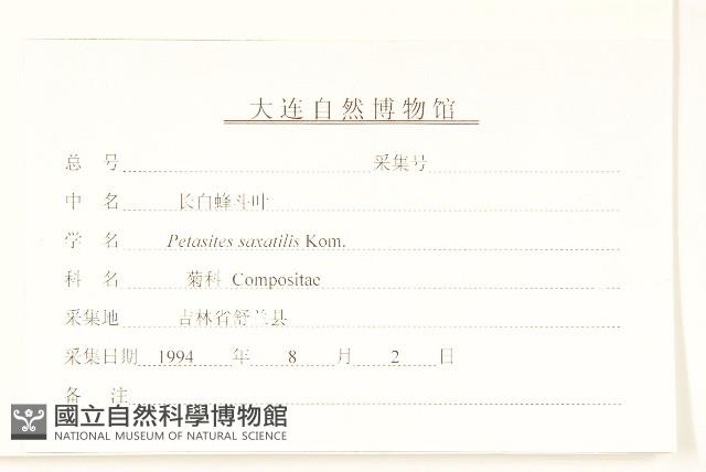 長白蜂斗菜藏品圖，第3張