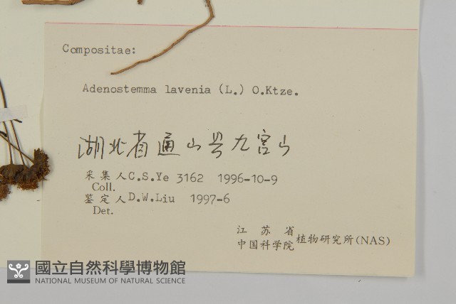 下田菊藏品圖，第3張