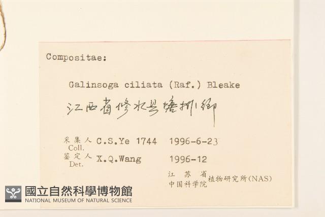 登錄號:S057313藏品圖，第3張