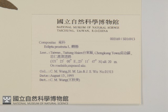 鱧腸藏品圖，第2張