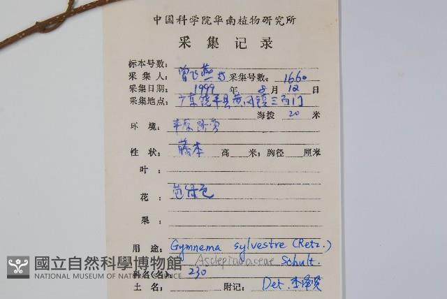 武靴藤藏品圖，第2張