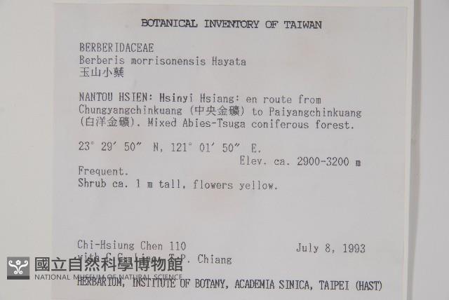 玉山小蘗藏品圖，第2張