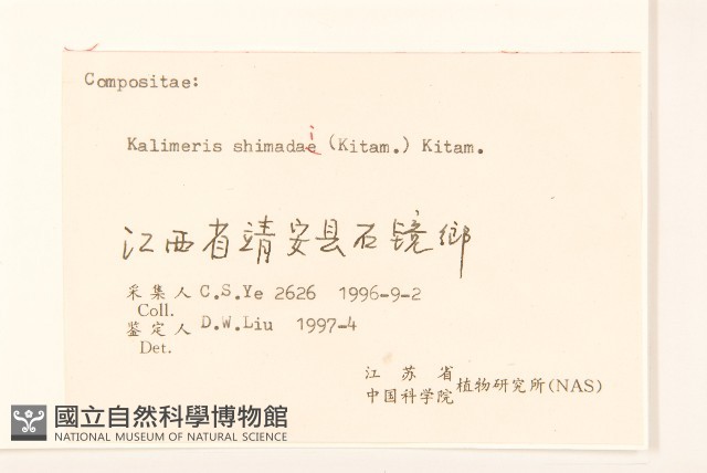 島田氏雞兒腸藏品圖，第3張