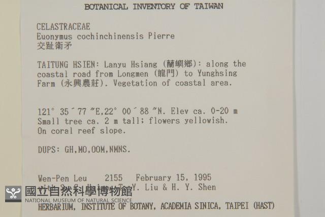 交趾衛矛藏品圖，第2張