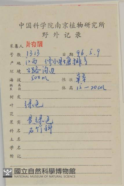 瓜槌草、漆姑草藏品圖，第2張