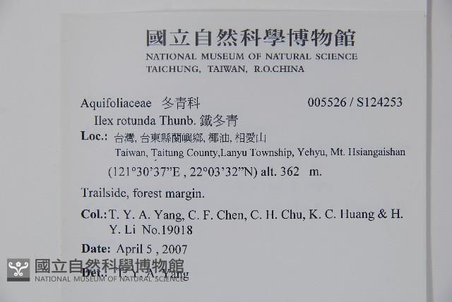 鐵冬青藏品圖，第2張