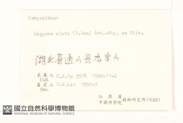 六角草藏品圖，第3張