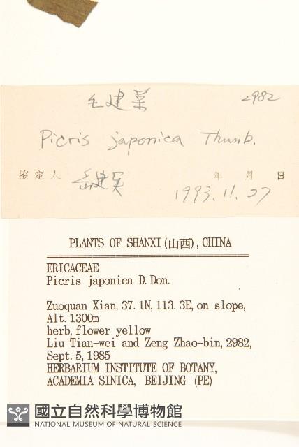 毛蓮菜藏品圖，第3張