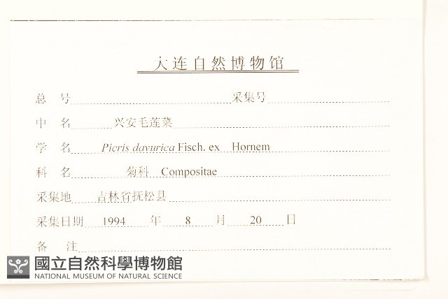 興安毛蓮菜藏品圖，第3張