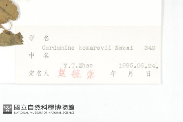 Accession Number:S027553 Collection Image, Figure 3, Total 3 Figures