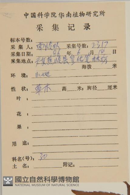 草珊瑚、紅果金粟蘭藏品圖，第2張