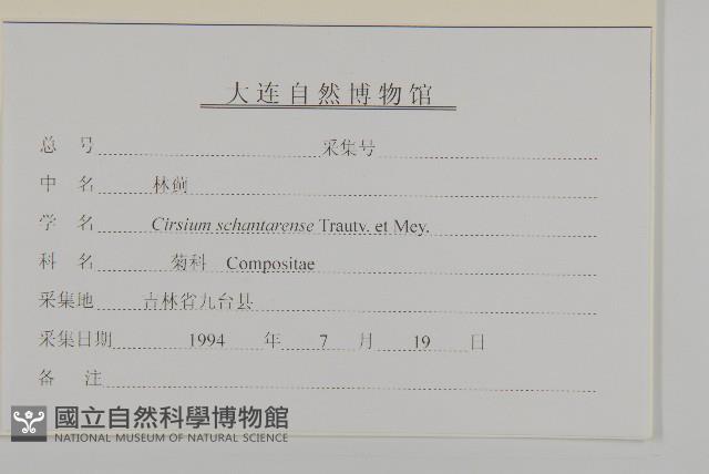 林薊藏品圖，第3張