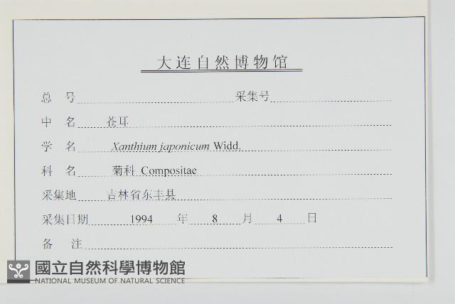 蒼耳藏品圖，第3張