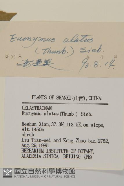 衛矛藏品圖，第3張