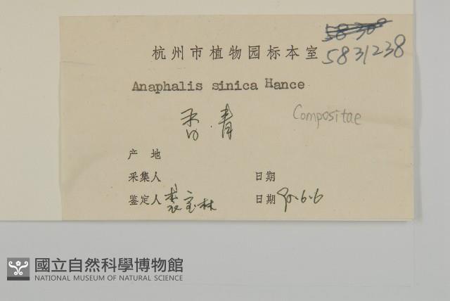 香青藏品圖，第3張