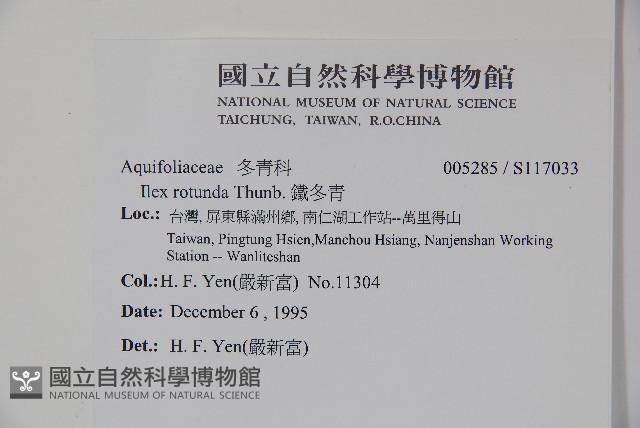 鐵冬青藏品圖，第2張