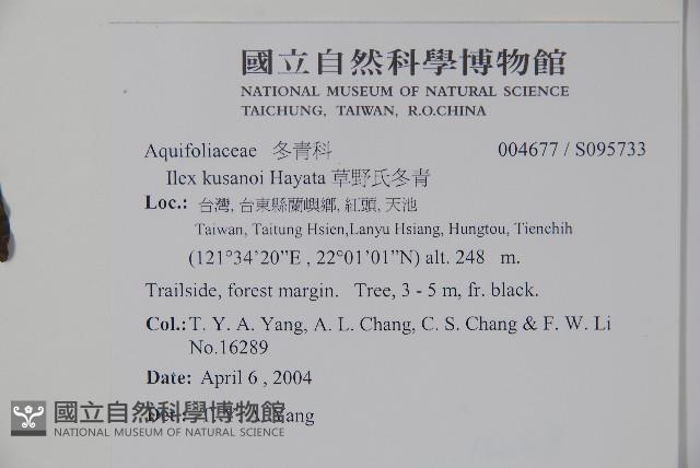 草野氏冬青藏品圖，第2張