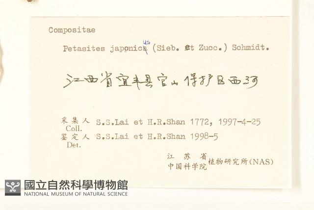 蜂斗菜、蛇頭菜藏品圖，第3張