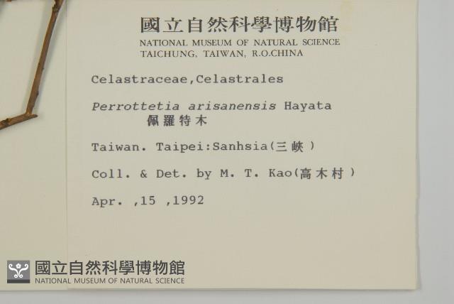 佩羅特木藏品圖，第2張