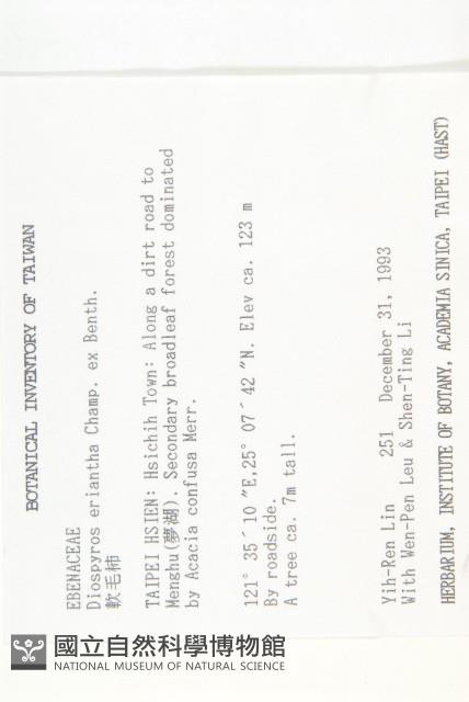 軟毛柿藏品圖，第2張